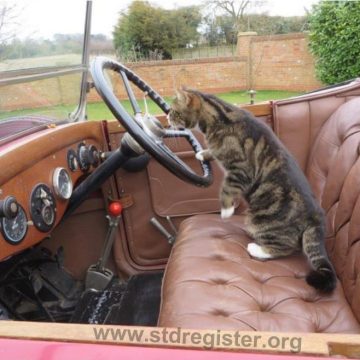 Impeccable Sunbeam steering